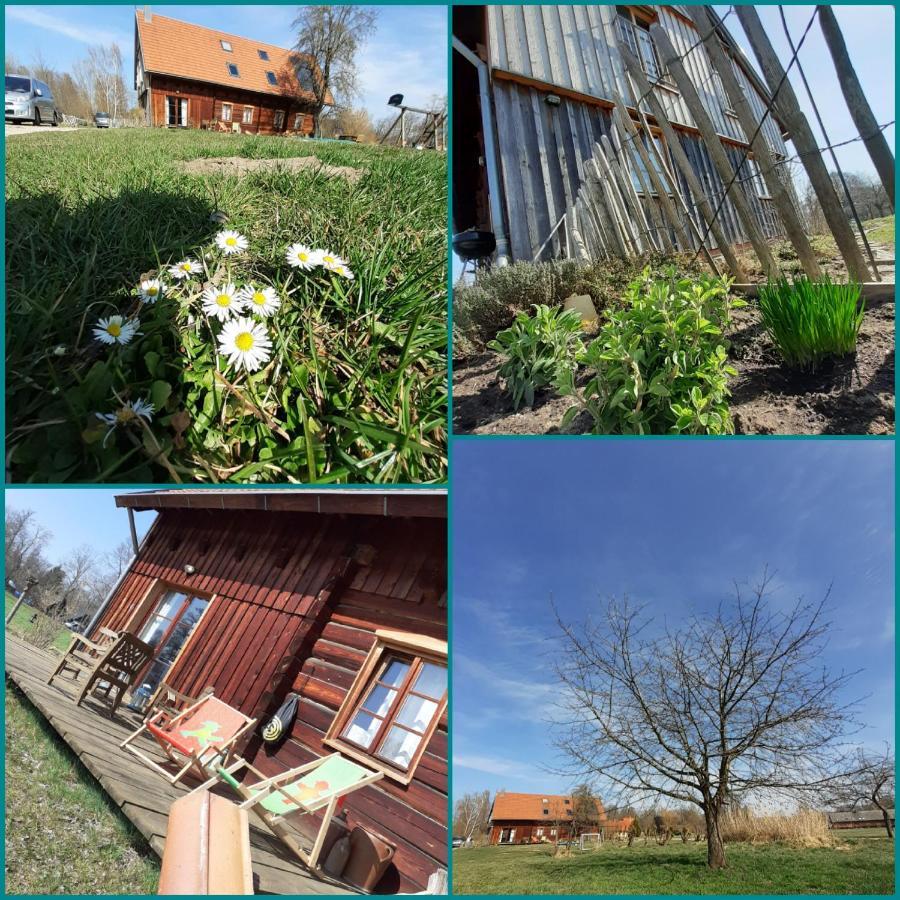 Appartement Liljas Haus Im Spreewald à Burg  Extérieur photo