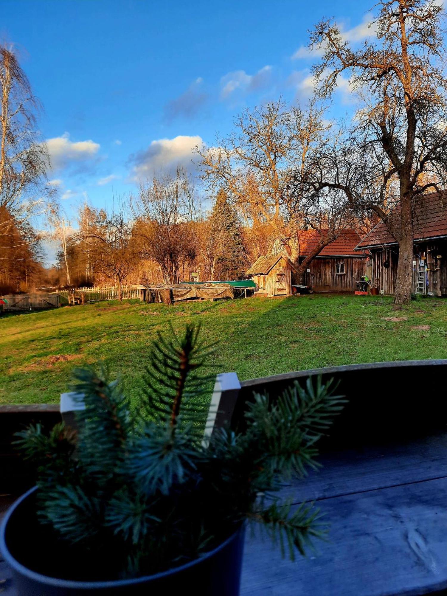 Appartement Liljas Haus Im Spreewald à Burg  Extérieur photo